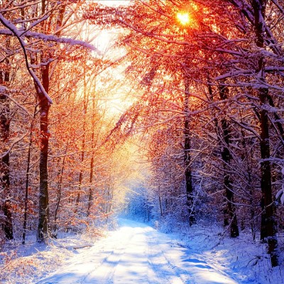 1920 x 1080 HD Wallpapers 1266